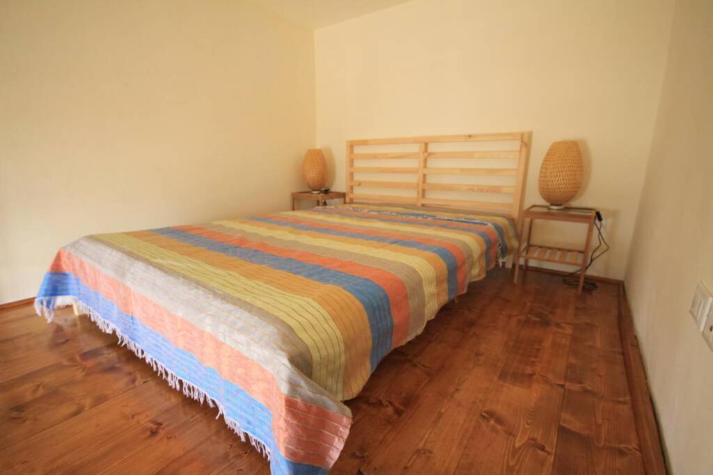 Bilocale Fronte Mare Apartment Marina Di Pisa Exterior photo